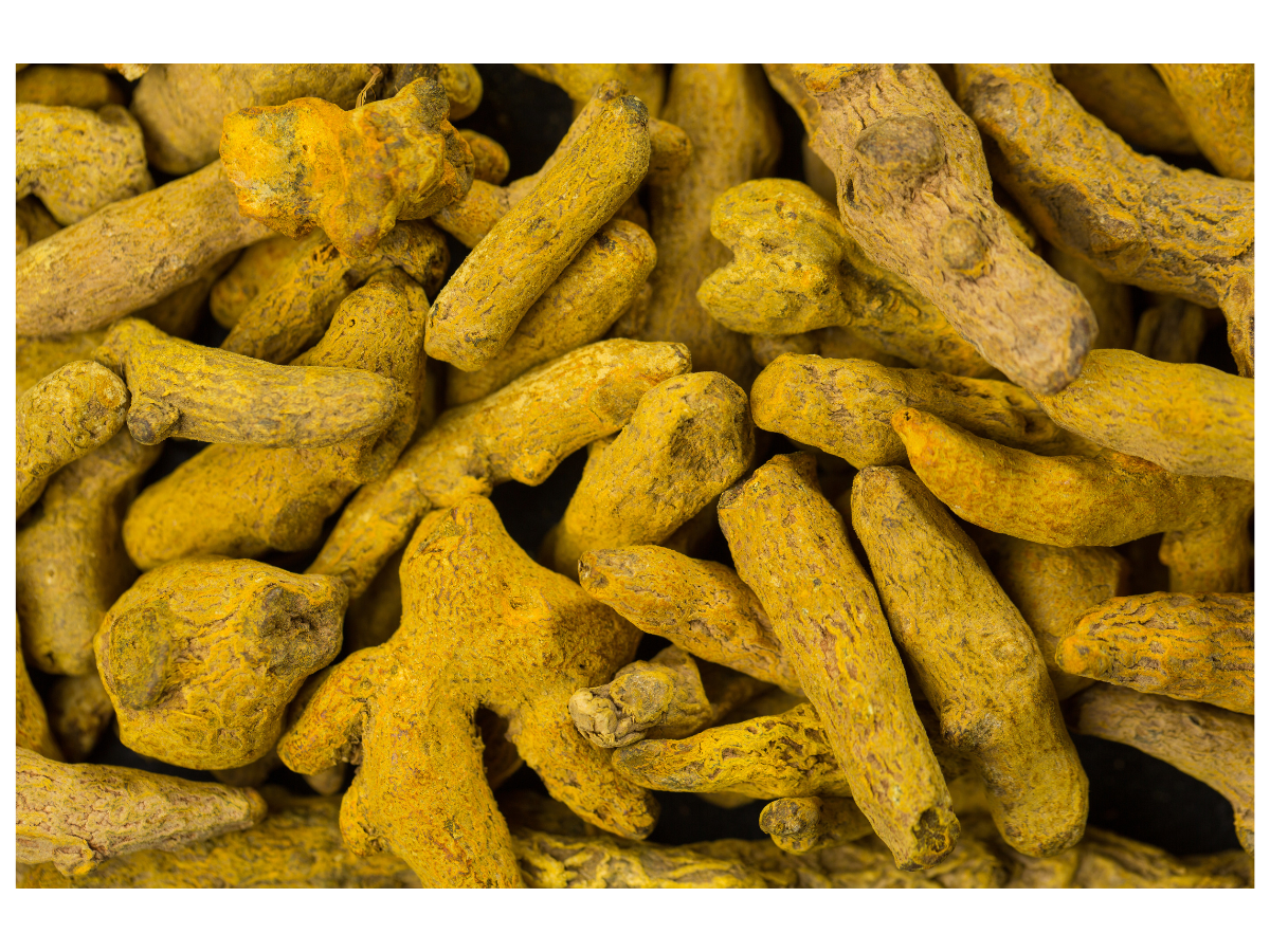 Dried Turmeric Root