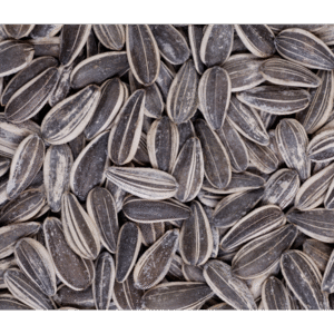Sunflower Seeds